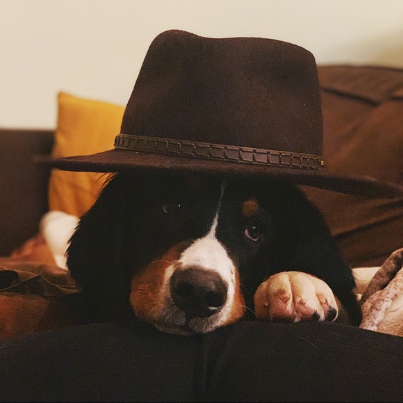 Hi, I’m Robin! Welcome to my closet 💃🏻 - Picture 3 of 3